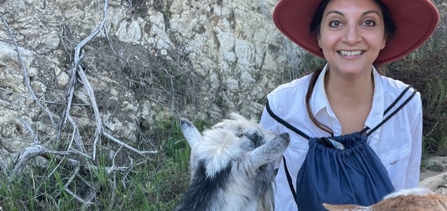 ff 78489d9241df5ffa00c24363c7314c7d ff IMG 2800