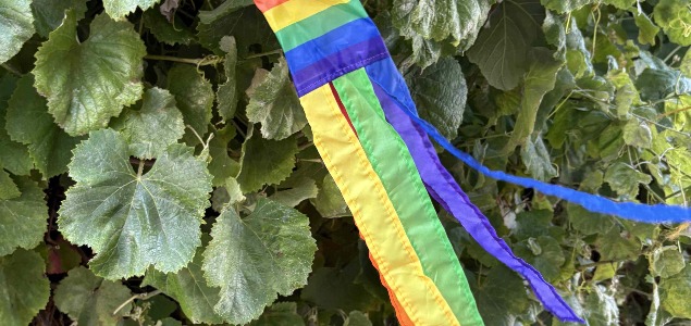 ff ff37ff814019d6b761ea51aeb47866a5 ff rainbow 1mb v2