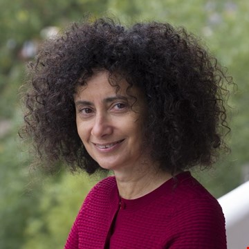 ronete cohen