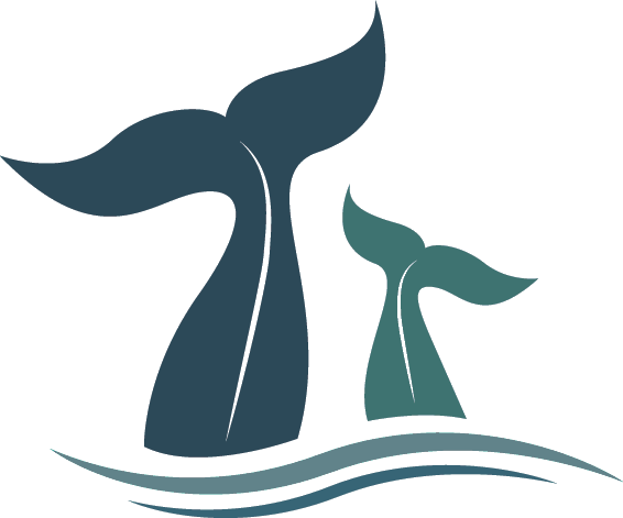 whales in the ocean