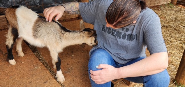 ff 9bae8acdc9b2686e34b03aab69866636 ff 4971455619713878356