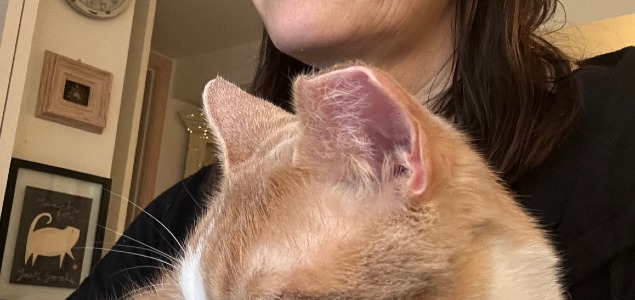 ff c2a83b1ea92ef2d3ada3b8e413b2af87 ff IMG 9587