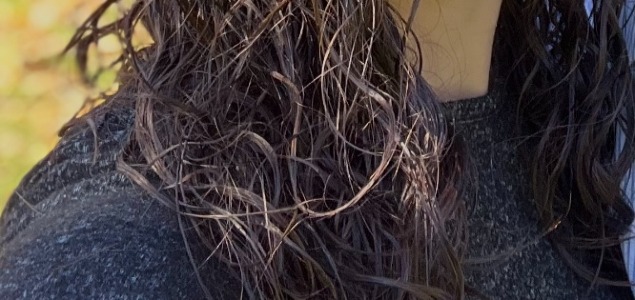 ff 166f888e49ccc209ded0c29744e3f1c1 ff IMG 4510