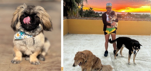 ff 3887c60f62a6eda67b04fe52c4e22dcd ff carolinecombined2